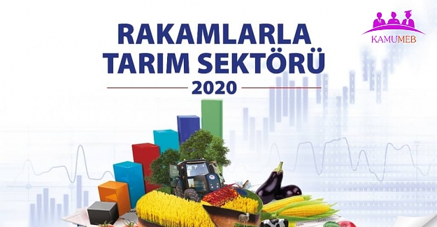 'Rakamlarla Tarım Sektörü' 2020 Kitabı