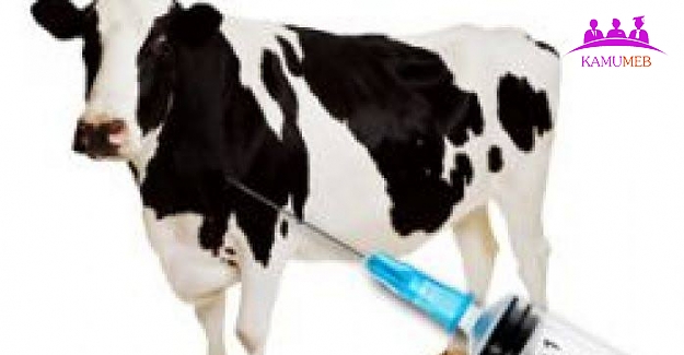 Hayvanlara Uygulanan Aşıların Muhafazası, Uygulanması ve Takibine Dair Bazı Verilere İlişkin Soru Önergesi