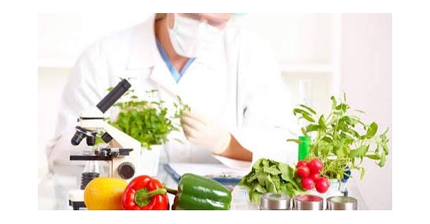 Gıda Mühendislerinin İstihdamına İlişkin Soru Önergesi (7 Nisan 2021)