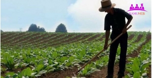 Çiftçilerin Borçlarının Silinmesi ve Yeniden Yapılandırılması Kanun Teklifi